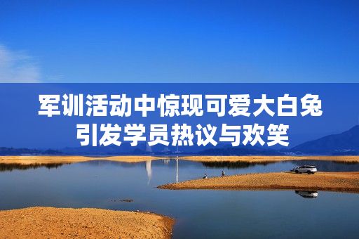 军训活动中惊现可爱大白兔 引发学员热议与欢笑