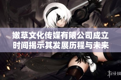 嫩草文化传媒有限公司成立时间揭示其发展历程与未来愿景