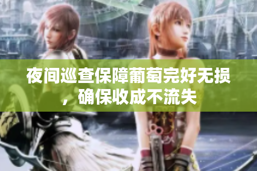 夜间巡查保障葡萄完好无损，确保收成不流失