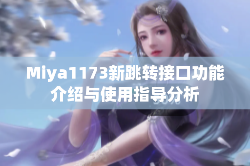 Miya1173新跳转接口功能介绍与使用指导分析