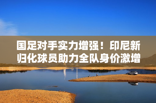 国足对手实力增强！印尼新归化球员助力全队身价激增