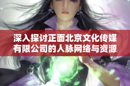 深入探讨正面北京文化传媒有限公司的人脉网络与资源共享情况
