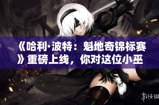 《哈利·波特：魁地奇锦标赛》重磅上线，你对这位小巫师有何期待？
