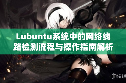 Lubuntu系统中的网络线路检测流程与操作指南解析