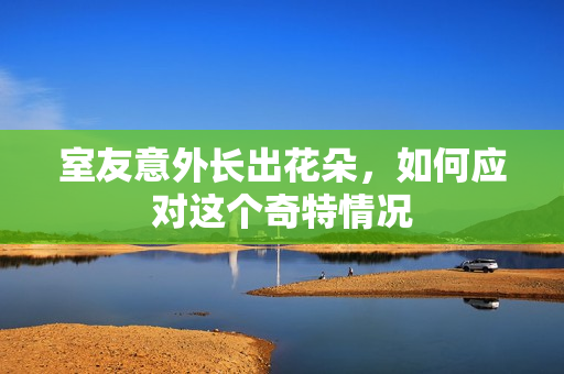 室友意外长出花朵，如何应对这个奇特情况