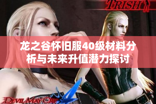 龙之谷怀旧服40级材料分析与未来升值潜力探讨