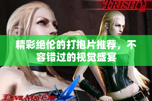 精彩绝伦的打抱片推荐，不容错过的视觉盛宴