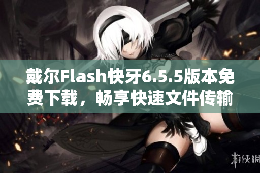 戴尔Flash快牙6.5.5版本免费下载，畅享快速文件传输体验