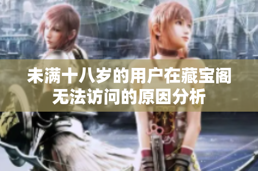 未满十八岁的用户在藏宝阁无法访问的原因分析