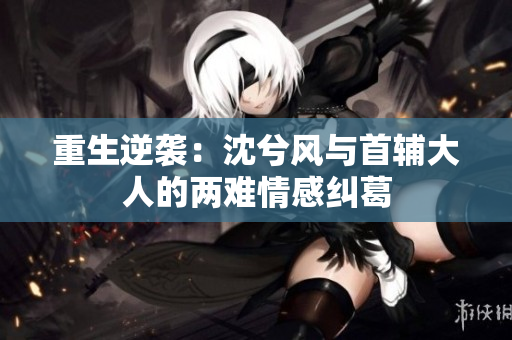 重生逆袭：沈兮风与首辅大人的两难情感纠葛