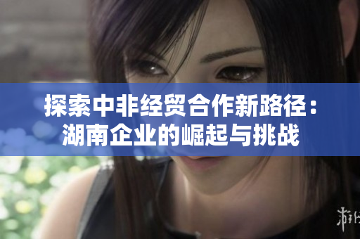 探索中非经贸合作新路径：湖南企业的崛起与挑战