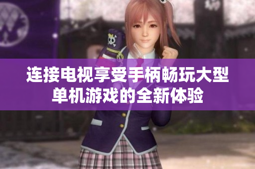 连接电视享受手柄畅玩大型单机游戏的全新体验