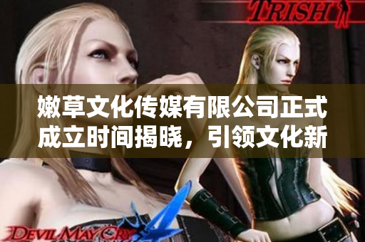 嫩草文化传媒有限公司正式成立时间揭晓，引领文化新风尚