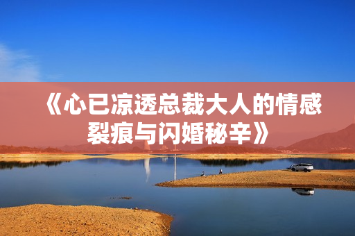 《心已凉透总裁大人的情感裂痕与闪婚秘辛》