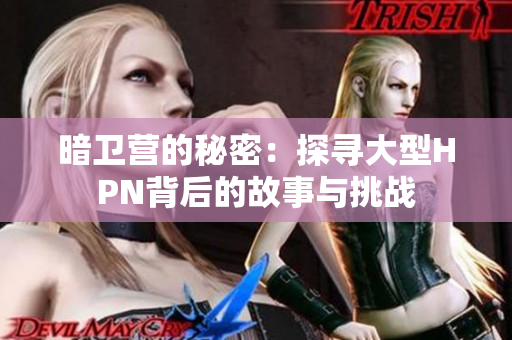 暗卫营的秘密：探寻大型HPN背后的故事与挑战