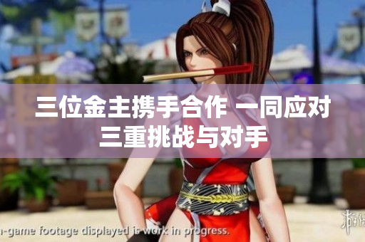 三位金主携手合作 一同应对三重挑战与对手