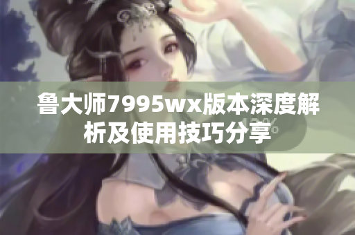 鲁大师7995wx版本深度解析及使用技巧分享