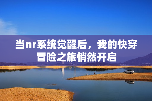 当nr系统觉醒后，我的快穿冒险之旅悄然开启