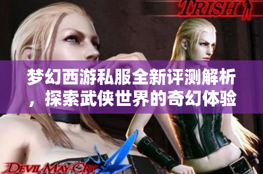 梦幻西游私服全新评测解析，探索武侠世界的奇幻体验