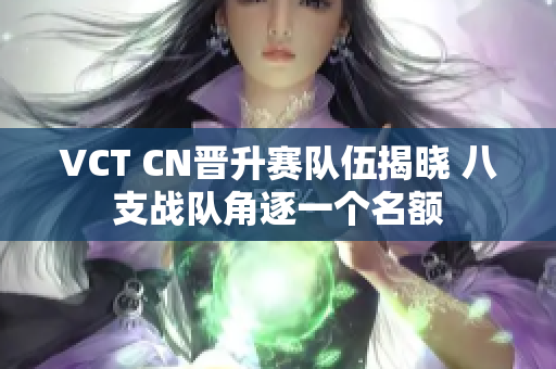 VCT CN晋升赛队伍揭晓 八支战队角逐一个名额
