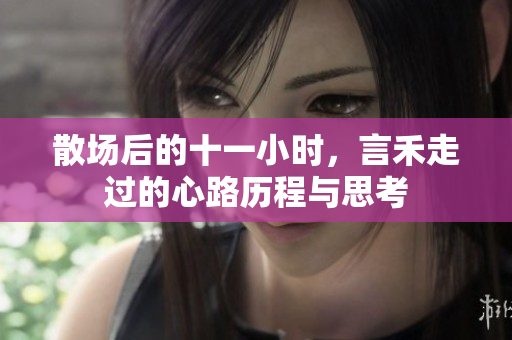 散场后的十一小时，言禾走过的心路历程与思考