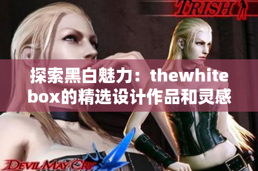探索黑白魅力：thewhitebox的精选设计作品和灵感