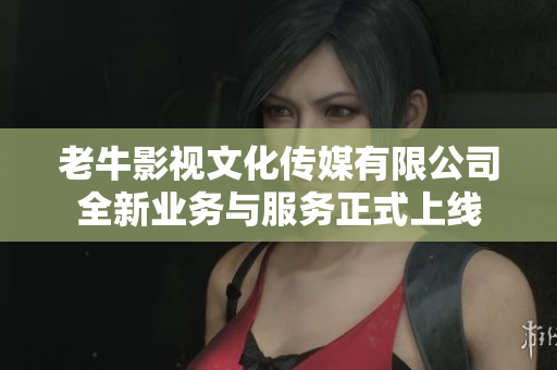 老牛影视文化传媒有限公司全新业务与服务正式上线