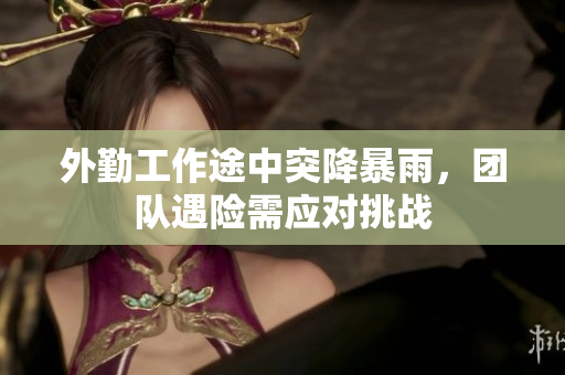 外勤工作途中突降暴雨，团队遇险需应对挑战