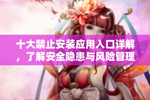 十大禁止安装应用入口详解，了解安全隐患与风险管理