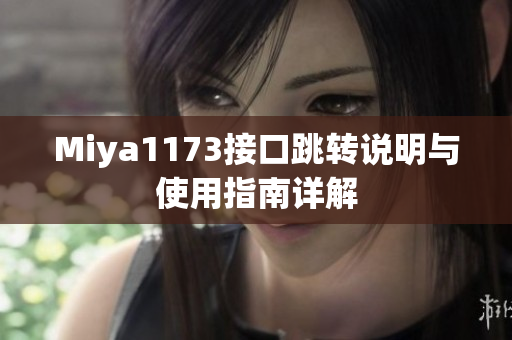 Miya1173接口跳转说明与使用指南详解