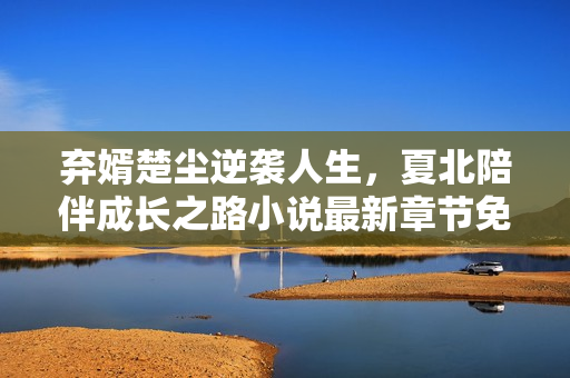 弃婿楚尘逆袭人生，夏北陪伴成长之路小说最新章节免费阅读