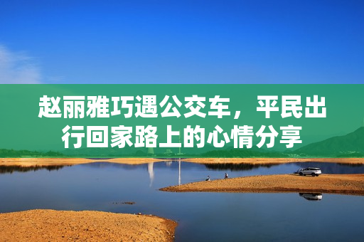 赵丽雅巧遇公交车，平民出行回家路上的心情分享