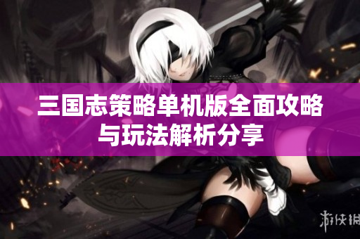 三国志策略单机版全面攻略与玩法解析分享