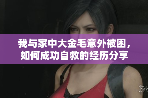 我与家中大金毛意外被困，如何成功自救的经历分享
