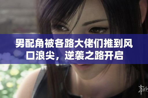 男配角被各路大佬们推到风口浪尖，逆袭之路开启