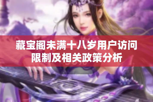藏宝阁未满十八岁用户访问限制及相关政策分析