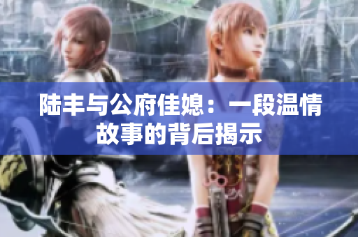 陆丰与公府佳媳：一段温情故事的背后揭示