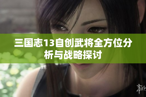 三国志13自创武将全方位分析与战略探讨