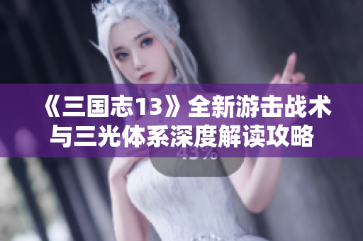 《三国志13》全新游击战术与三光体系深度解读攻略