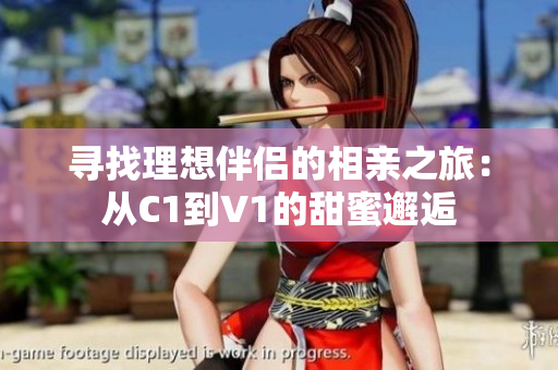 寻找理想伴侣的相亲之旅：从C1到V1的甜蜜邂逅