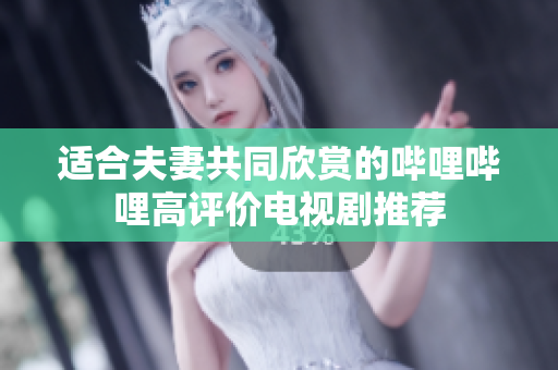 适合夫妻共同欣赏的哔哩哔哩高评价电视剧推荐