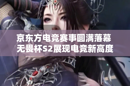 京东方电竞赛事圆满落幕 无畏杯S2展现电竞新高度