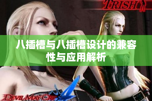 八插槽与八插槽设计的兼容性与应用解析