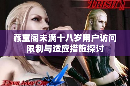 藏宝阁未满十八岁用户访问限制与适应措施探讨