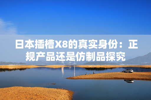 日本插槽X8的真实身份：正规产品还是仿制品探究