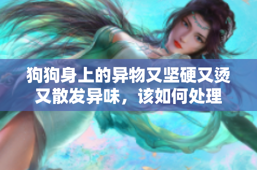 狗狗身上的异物又坚硬又烫又散发异味，该如何处理