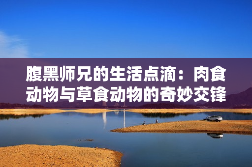 腹黑师兄的生活点滴：肉食动物与草食动物的奇妙交锋