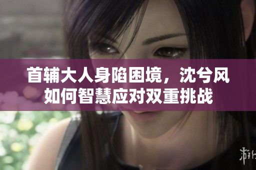 首辅大人身陷困境，沈兮风如何智慧应对双重挑战