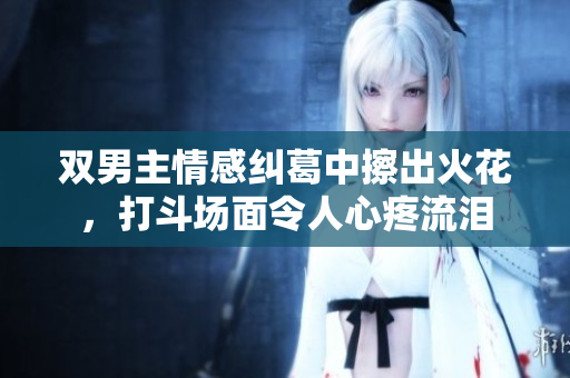 双男主情感纠葛中擦出火花，打斗场面令人心疼流泪