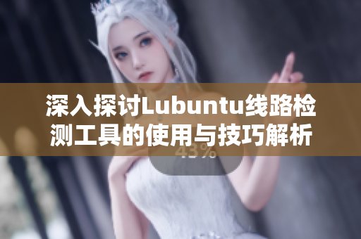 深入探讨Lubuntu线路检测工具的使用与技巧解析